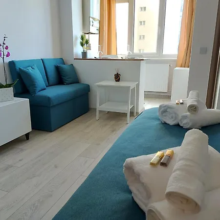 Zara Apartment Brasov